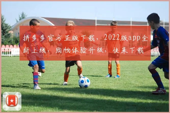 拼多多官方正版下载，2022版app全新上线，购物体验升级，快来下载