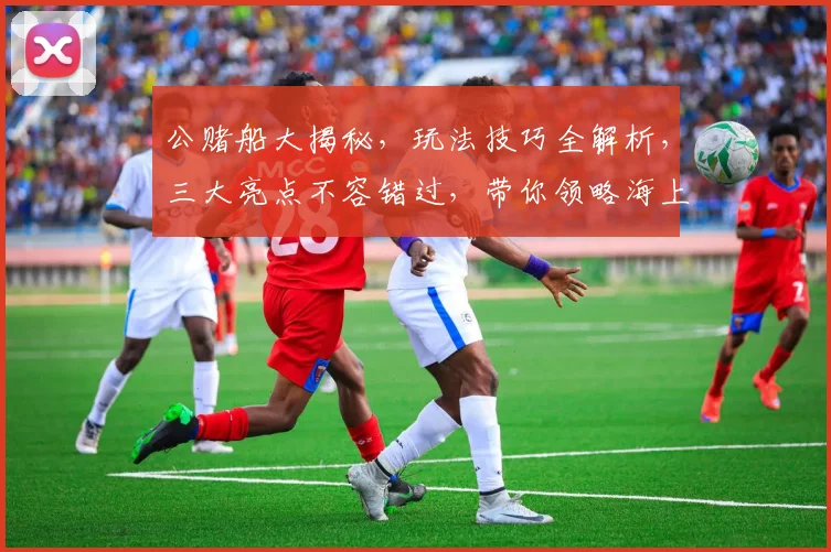 公赌船大揭秘，玩法技巧全解析，三大亮点不容错过，带你领略海上娱乐盛宴
