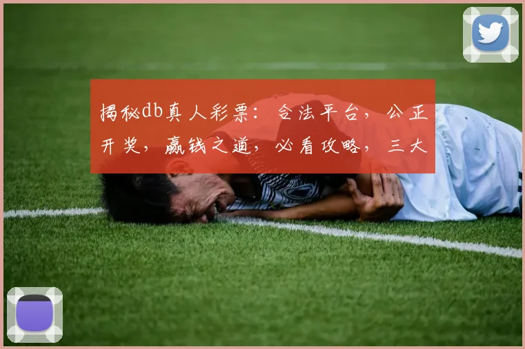 揭秘db真人彩票：合法平台，公正开奖，赢钱之道，必看攻略，三大技巧