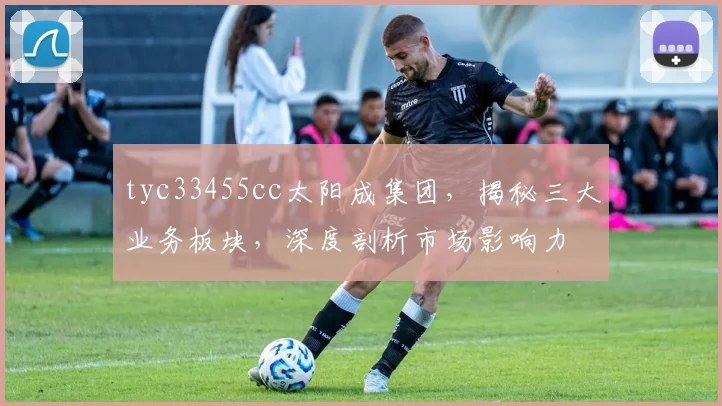 tyc33455cc太阳成集团，揭秘三大业务板块，深度剖析市场影响力